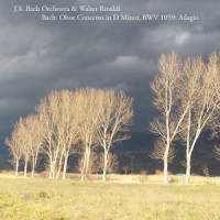 Oboe Concerto in D Minor, Bwv 1059: Adagio_Johann Sebastian Bach,Walter Rinaldi