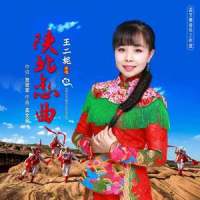 陕北恋曲_王二妮