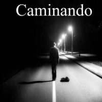 Autoridad_camino