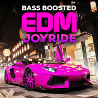Don't Be Shy_The Neon Crew