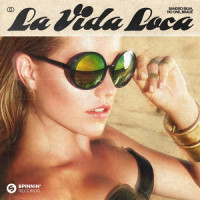 La Vida Loca_Sandro Silva,NO ONe,Brace