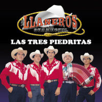 Porque No Me Amas_Los Llaneros De Guamuchil,Rafael Buendia