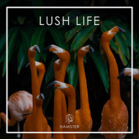 Lush Life_Hamster,Ethan Lal,Raz Klinghoffer,Lily Lewis Brickner Eakin