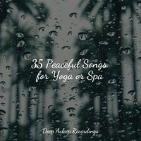 Rising to Heaven_Asian Zen: Spa Music Meditation,Zen Meditate,Sleepy Times