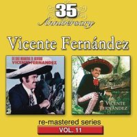Dejame Que Me Vaya_Vicente Fernández