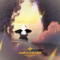 wait a minute! - slowed + reverb_Slo,Twilight,Tazzy