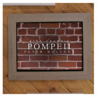 Pompeii_Peter Hollens,Kina Grannis