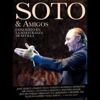 El silencio del sur(feat. José Mercé)_Jose Manuel Soto