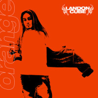 20_Landon Cube