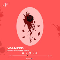 Hai Baaki (WANTED)_Kamil Mahmood Kiani