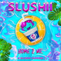 Home 2 Me_Slushii