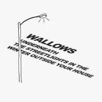 Underneath the Streetlights in the Winter Outside Your House_Wallows