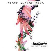 Cómo_Brock Ansiolitiko