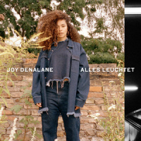 Alles leuchtet_Joy Denalane