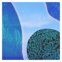 Aphotic Waters_Diamond Thug