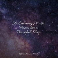 Parade of the Sunset_Spa,Sleep Waves,Binaural Beats Isochronic Tones Lab