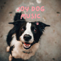 Peacful_Piano Peace,Pet Music Therapy,Pets Love Music