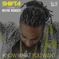 Know what you want_Shifta,Wayne Wonder