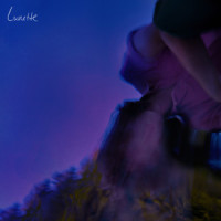 Lunette_Boy Willows