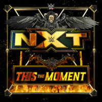 This The Moment(NXT)_WWE,def rebel