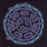 Delta Phase_Evan Marc,Steve Hillage