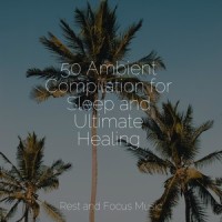 Walking Through the Woodland_Wellness,Study Zone,Namaste Healing Yoga
