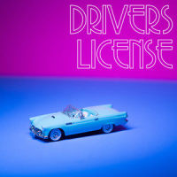 drivers license_Sassydee