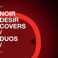 Aucun express_Noir Désir