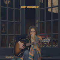 Voyager_Birdy