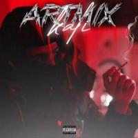 Going hard (feat. PAIN666)_Kali,PAIN666