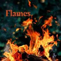 Flames(feat. Travis Porter & LUM!X)_Stuphy M,Travis Porter,LUM!X