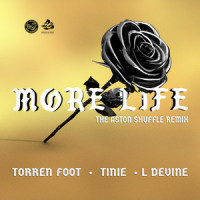 More Life (feat. Tinie Tempah & L Devine)_Torren Foot,Tinie Tempah,L Devine