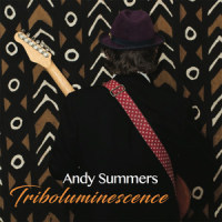 If Anything_Andy Summers