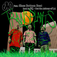 Transplants_Ao,Glass Bottom Boat