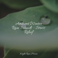 Thunder Rain_Deep Sleep,Asian Zen: Spa Music Meditation,Kinderlieder Megastars