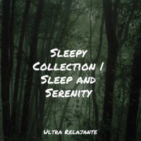 Morning's Glory_Spa,Zen,Classical New Age Piano Music