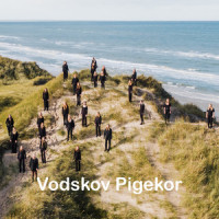 Flyvere i natten_Vodskov Pigekor,Kim Larsen,Henning Pold,Mogens Mogensen,Erik Clausen