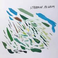 More Than I Did_Strange Pilgrim,Kelly McFarling