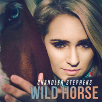 Wild Horse_Chandler Stephens
