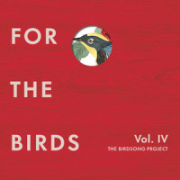 Used Beak_Craig Wedren