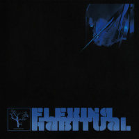 Lucid Bass III_The Flashbulb