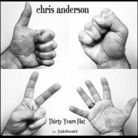 Thirty Years Flat_Chris Anderson