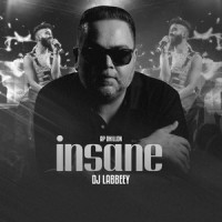 Insane_AP Dhillon,Dj Labbeey