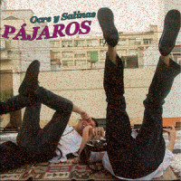 Pájaros_Ocre,Pei Milberg,Salinas,Ocre Surrreal,Tomás Alfiz,Pedro Milberg