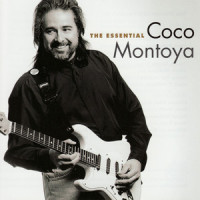 Same Dog_Coco Montoya