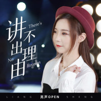 讲不出理由_亮声open