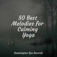 Lullabies for Sleep_Soothing White Noise for Infant Sleeping and Massage,Nature Music Pregnancy Academy,Spa