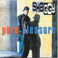Big Up_Shaggy