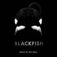 Orca In The Wild_Jeff Beal