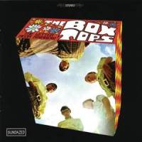 She Knows How_The Box Tops